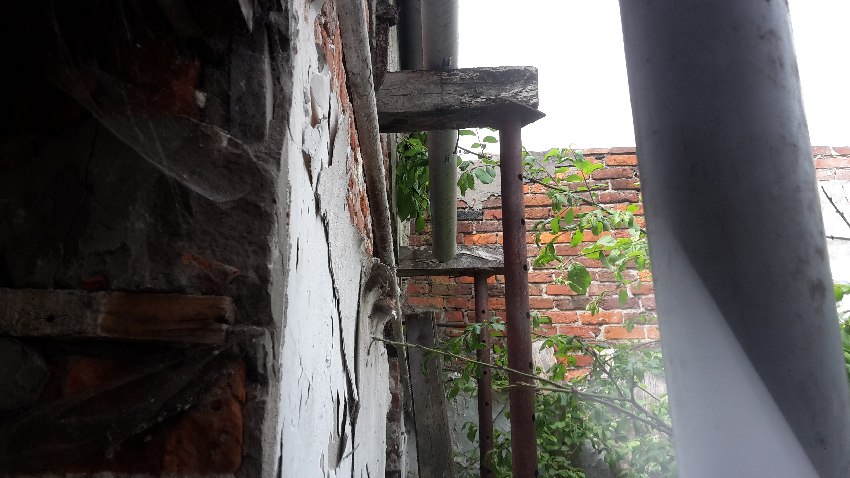 Detail foto